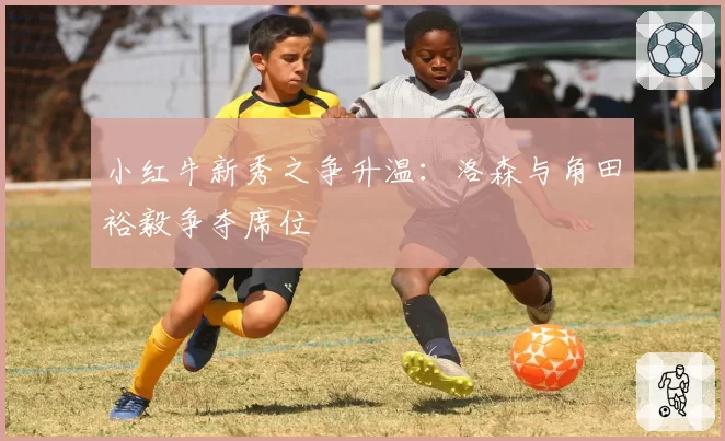 小红牛新秀之争升温：洛森与角田裕毅争夺席位