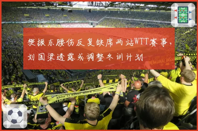 樊振东腰伤反复缺席两站WTT赛事，刘国梁透露或调整冬训计划