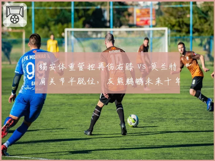锡安体重管控再伤右膝 vs 莫兰特肩关节半脱位，灰熊鹈鹕未来十年双星脆弱性