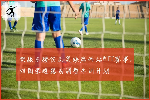 樊振东腰伤反复缺席两站WTT赛事，刘国梁透露或调整冬训计划